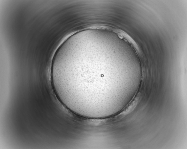 X0000096660860200802261341