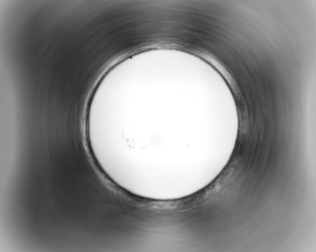 X0000096660861200802261341