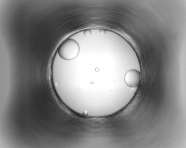 X0000096660862200802261341