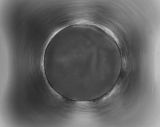 X0000096660863200802261341