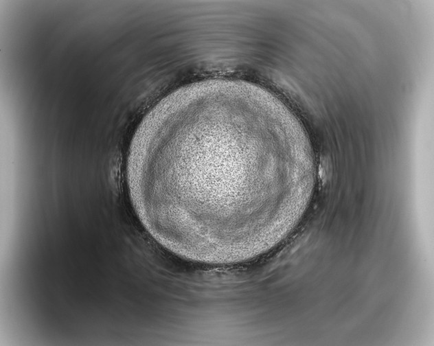 X0000096660867200802261340