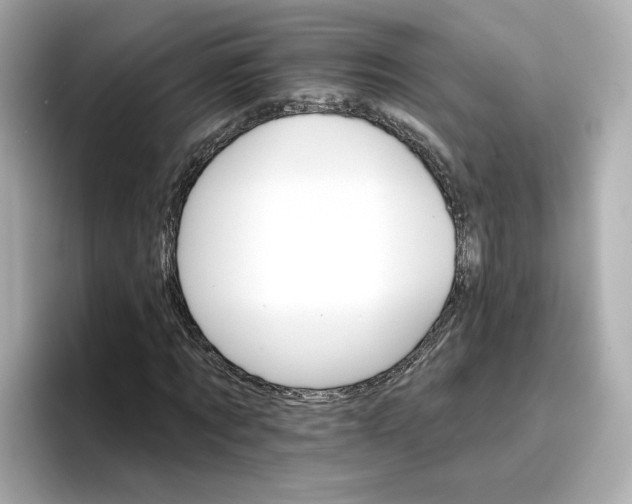 X0000096660869200802261340