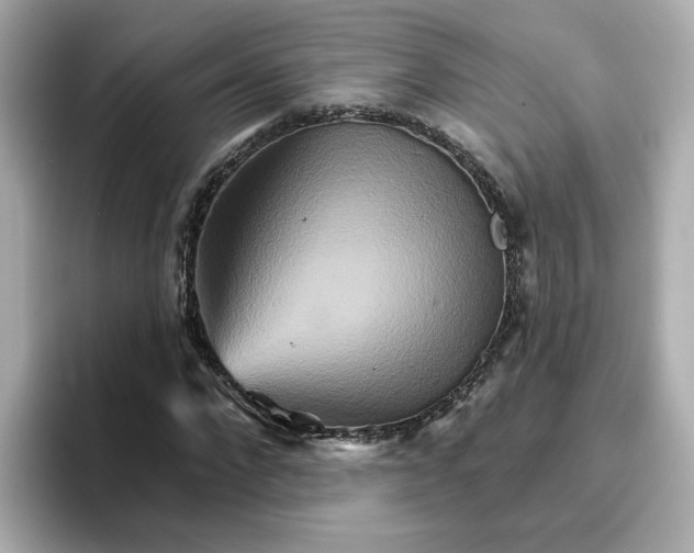 X0000096660872200802261340