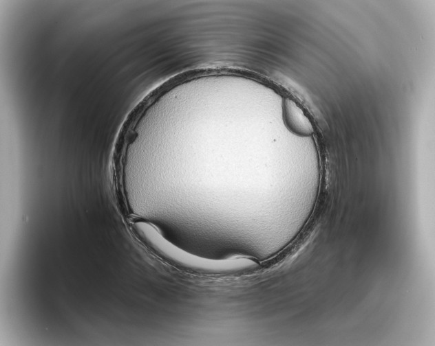 X0000096660876200802261340