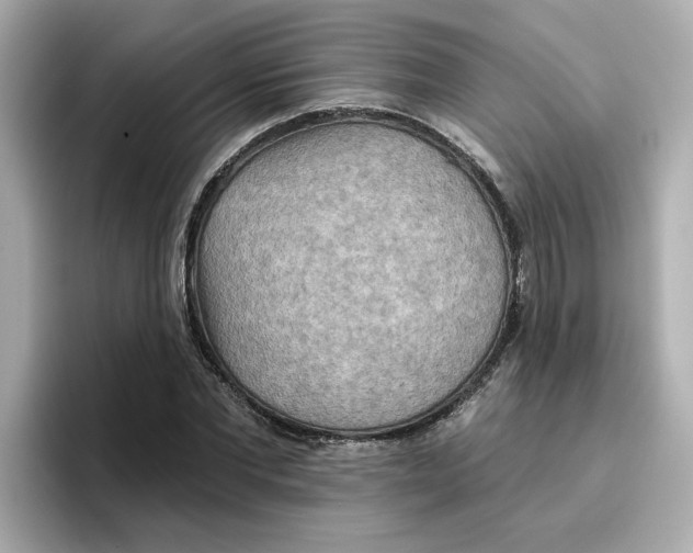 X0000096660877200802261340