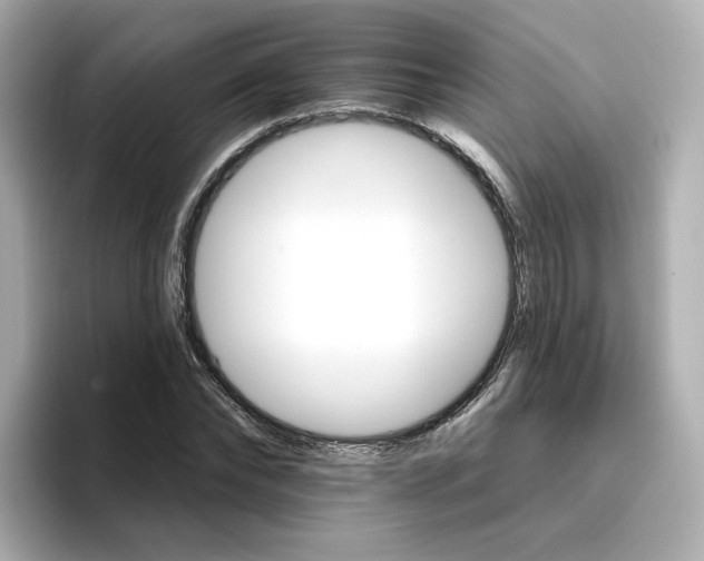 X0000096660878200802261340