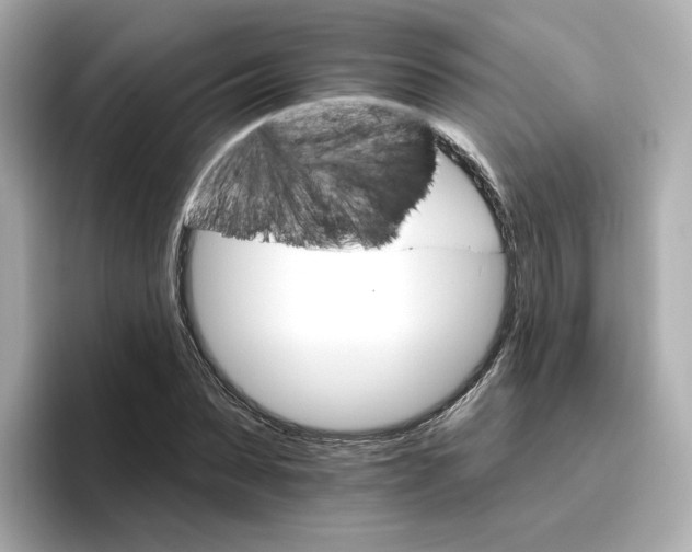 X0000096660879200802261340