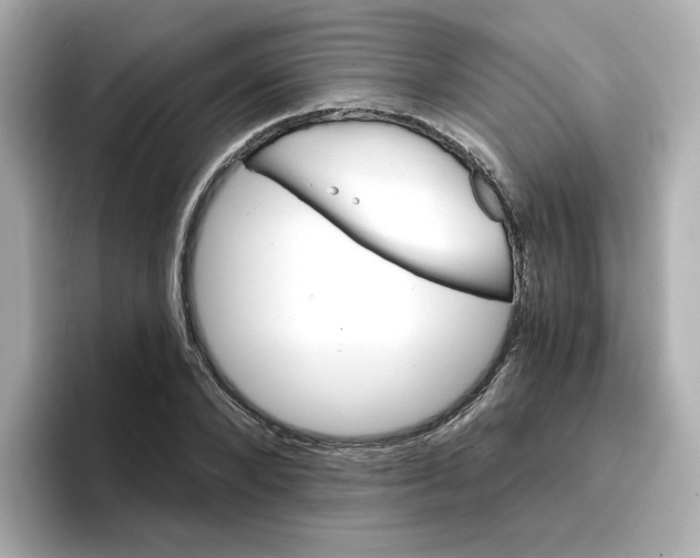 X0000096660880200802261340