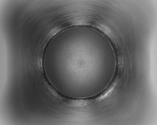 X0000096660881200802261340