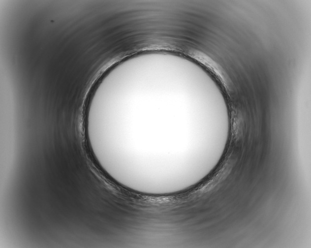 X0000096660882200802261340