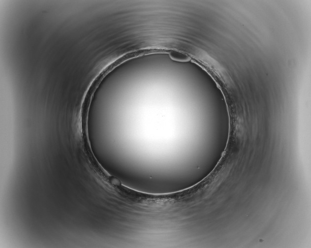 X0000096660884200802261340