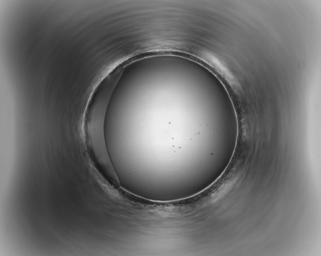 X0000096660885200802261340