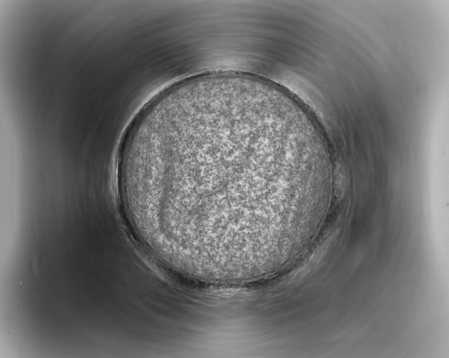 X0000096660886200802261340