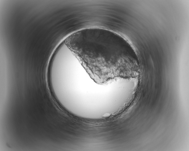 X0000096660887200802261340