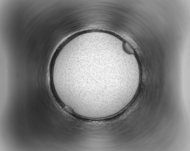 X0000096660888200802261340