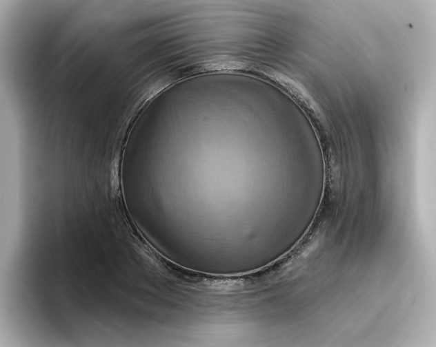 X0000096660889200802261340