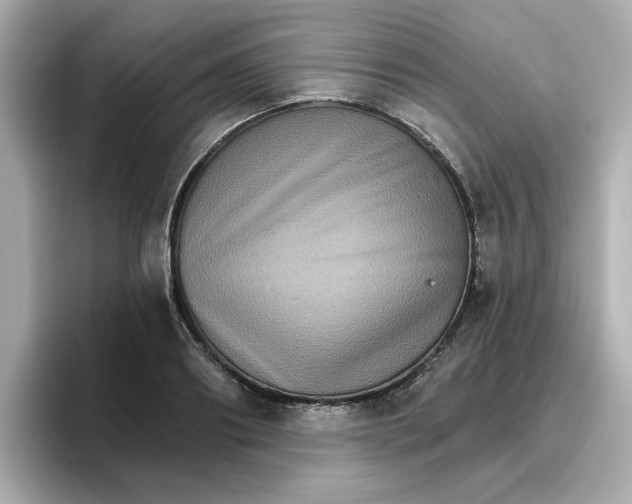 X0000096660890200802261340