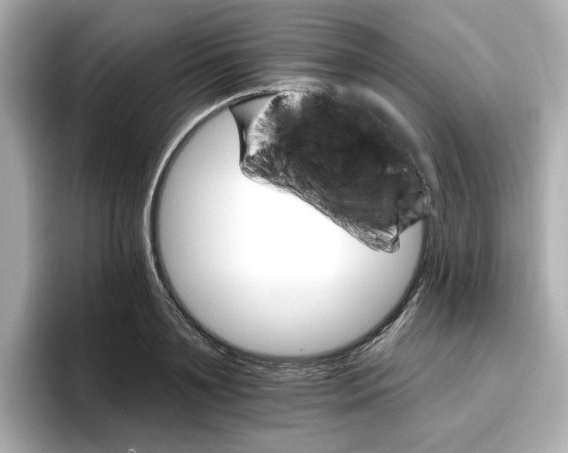 X0000096660891200802261340