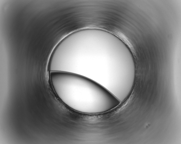 X0000096660892200802261340