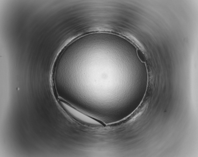 X0000096660893200802261340