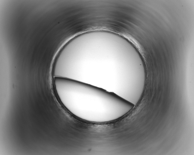 X0000096660894200802261340