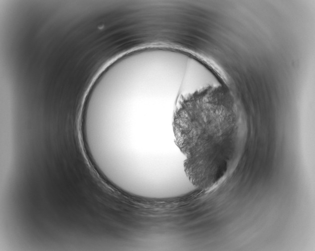 X0000096660895200802261340