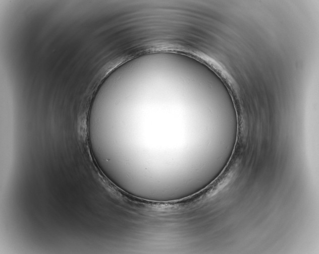 X0000096660897200802261340