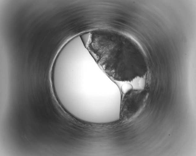 X0000096660899200802261340