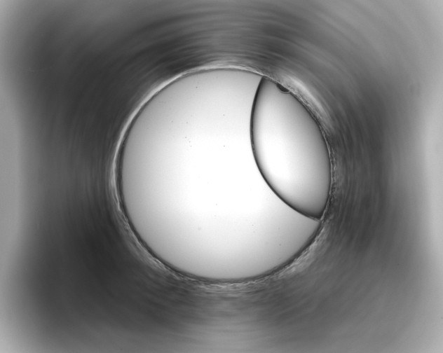 X0000096660900200802261340