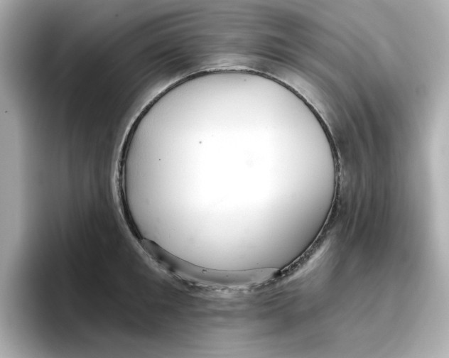 X0000096660901200802261340