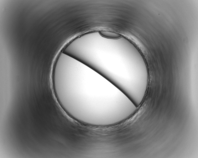 X0000096660902200802261340