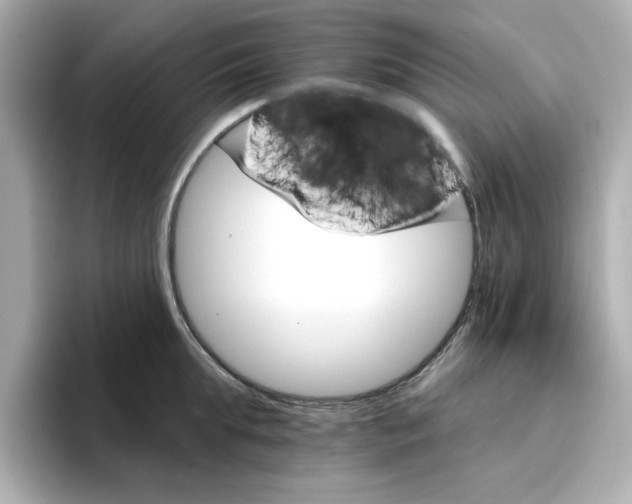 X0000096660903200802261340