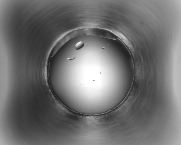 X0000096660904200802261340