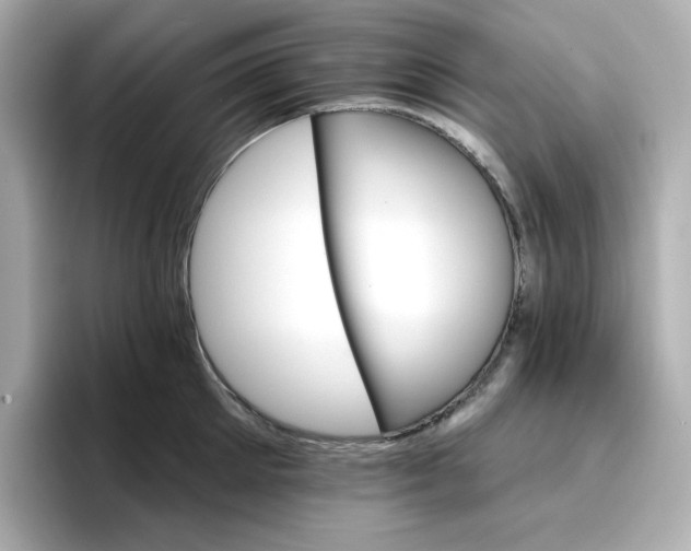 X0000096660905200802261340