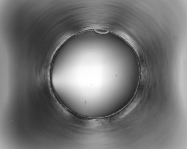 X0000096660906200802261340