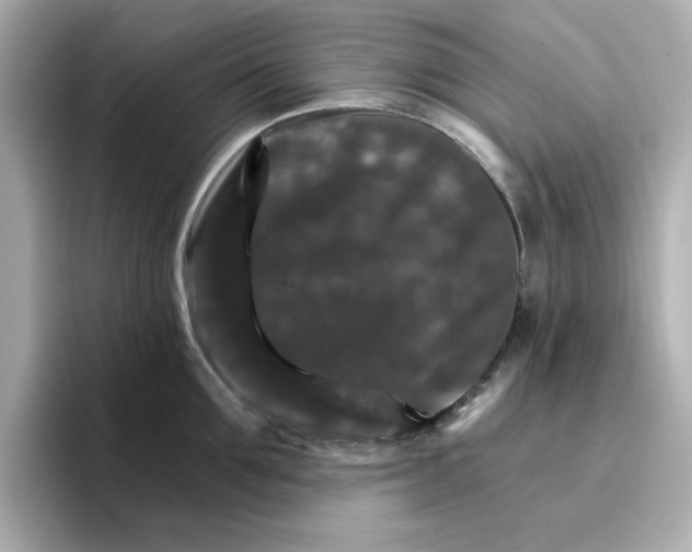 X0000096660907200802261340