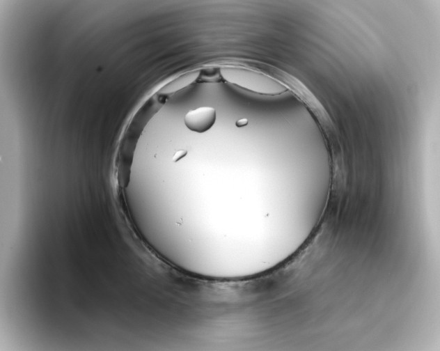 X0000096660908200802261340