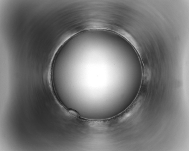 X0000096660909200802261340