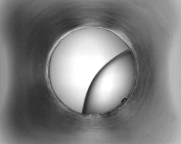 X0000096660912200802261340