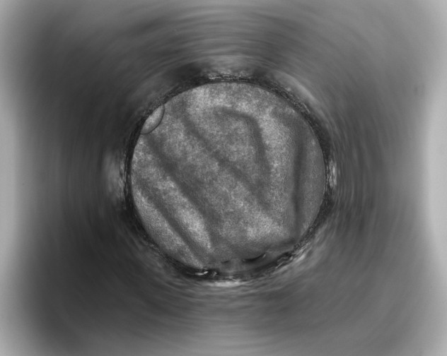 X0000096660915200802261339