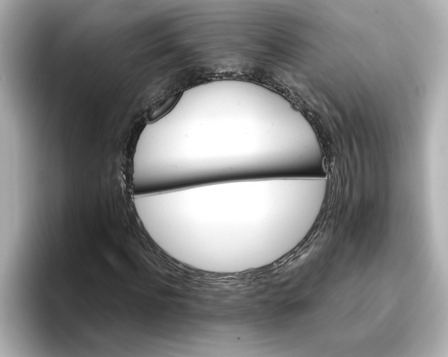 X0000096660916200802261339