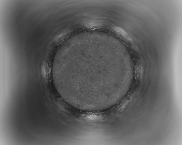 X0000096660917200802261339