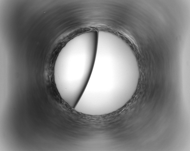 X0000096660920200802261339