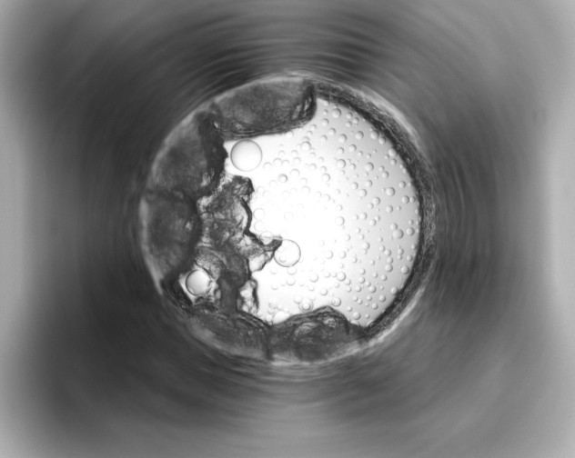 X0000096660921200802261339