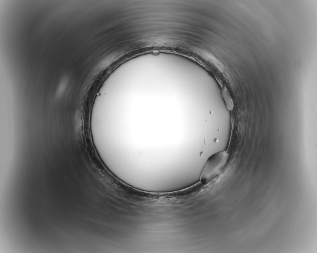 X0000096660922200802261339