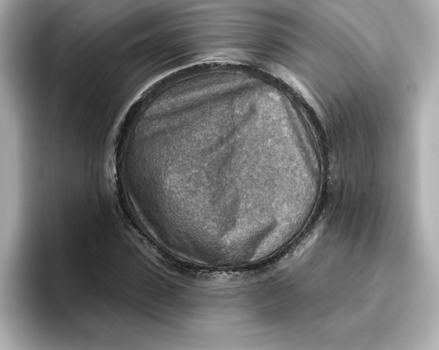 X0000096660923200802261339