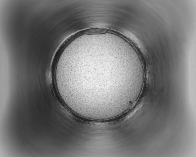 X0000096660924200802261339