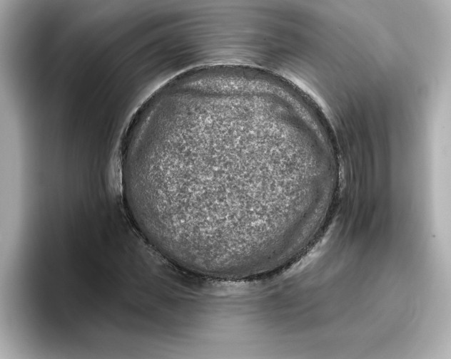 X0000096660925200802261339