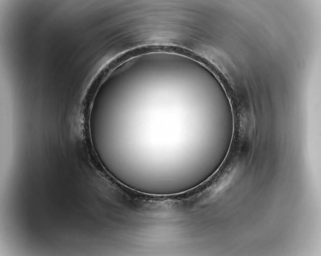 X0000096660926200802261339