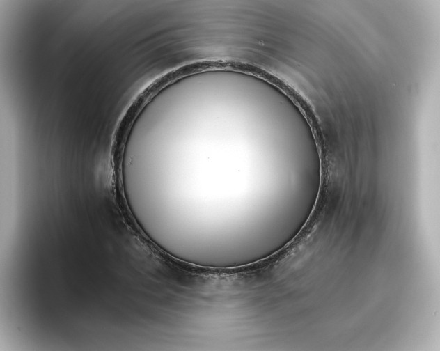 X0000096660927200802261339